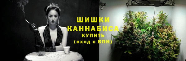 apvp Аркадак